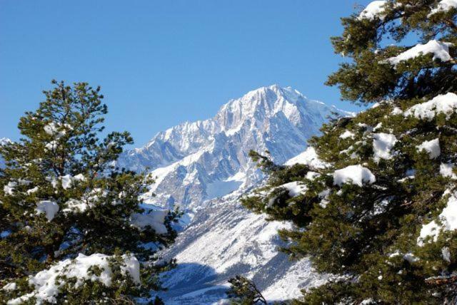 Appartamento Monte Bianco La Salle Εξωτερικό φωτογραφία